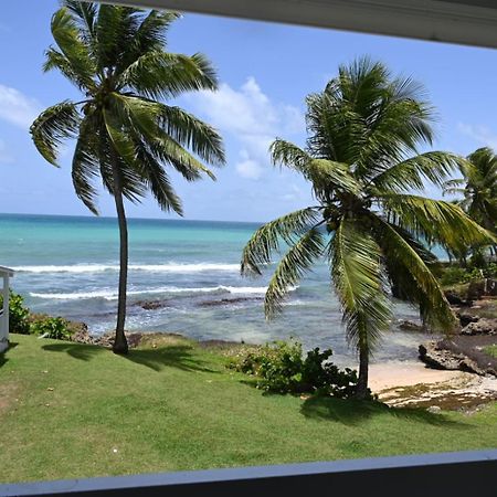 Studio Vue Sur Mer Fort D'Epee Le Gosier  Extérieur photo